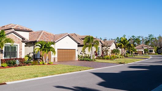 neighborhood homes with palm trees